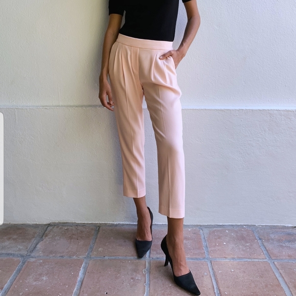 Aritzia Pants - Aritzia Babaton Cohen Pants